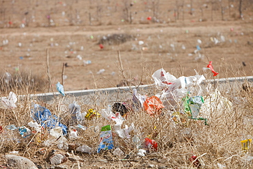 Plastic rubbish blows across the desert landscape of Inner Mongolia, China, Asia