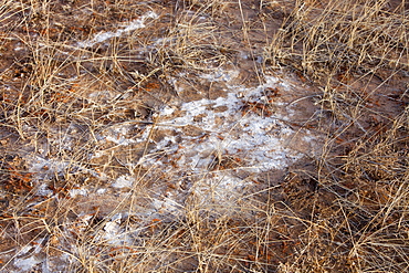 Baked landscape formerly a large lake, now dried up, Hong Hai Zai near Dongsheng, China, Asia