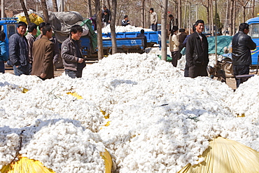 Cotton bundles, Northern China, China, Asia