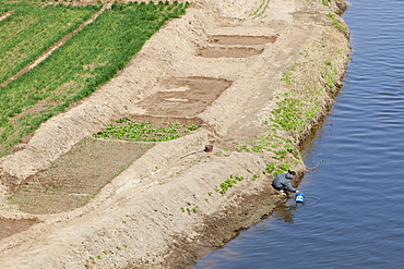 Wheat crops being irrigated near Hangang in Northern China, Asia