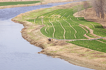 Wheat crops being irrigated near Hangang in Northern China, Asia