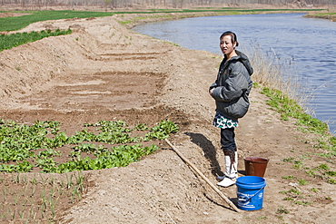 Crops being irrigated near Hangang in Northern China, Asia