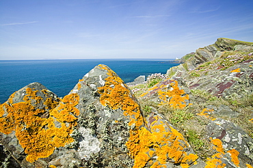 Hartland Point in Devon, England, United Kingdom, Europe