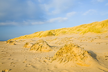 Ice and frost on the beach and sand dunes at Sandscale Haws near Barrow in Furness, Cumbria, England, United Kingdom, Europe