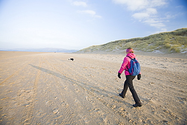 Woman walking her dog in winter on the beach and sand dunes at Sandscale Haws near Barrow in Furness, Cumbria, England, United Kingdom, Europe