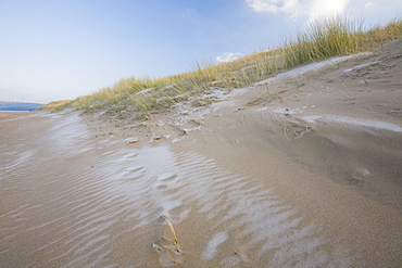 Ice and frost on the beach and sand dunes at Sandscale Haws near Barrow in Furness, Cumbria, England, United Kingdom, Europe