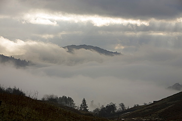 Misty weather over Grasmere in the Lake District National Park, Cumbria, England, United Kingdom, Europe