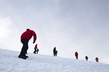 A group of mountaineers ascending Cairngorm in the Cairngorm National Park in Scotland, United Kingdom, Europe