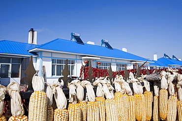 Modern farmers houses built by the local communist party on the outskirts of Suihua city in northern China, Asia