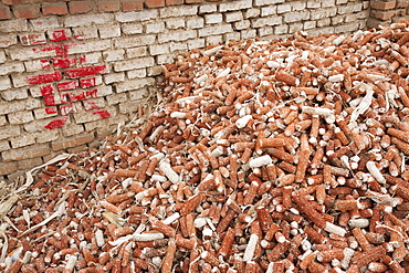 Maize husks that are used as a renewable fuel to burn on household stoves in northern China, Asia