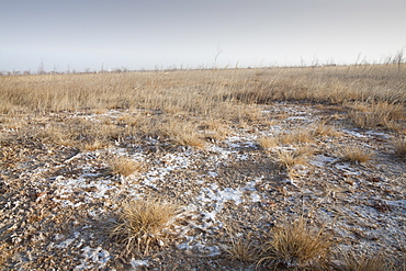 Baked landscape formerly a large lake, now dried up, Hong Hai Zai near Dongsheng, China, Asia