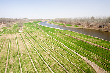 Wheat crops being irrigated near Hangang in Northern China, Asia