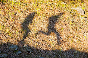 The shadows of two men jumping in the Lake District, Cumbria, England, United Kingdom, Europe