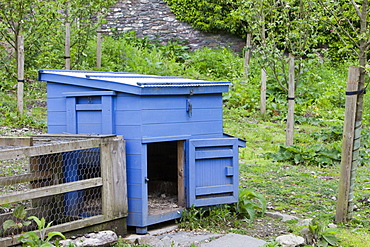 A hen house for free range hens in the Rydal Hall Community Vegetable Garden, near Ambleside, Cumbria, England, United Kingdom, Europe