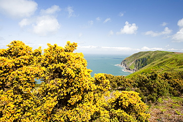 The North Devon coastline near Combe Martin, England, United Kingdom, Europe