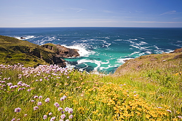 The Cornish coast at Pendeen Watch near Lands End, Cornwall, England, United Kingdom, Europe