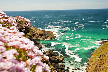 The Cornish coast at Pendeen Watch near Lands End, Cornwall, England, United Kingdom, Europe