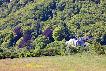 A house above Lee Bay on the north Devon coast near Ilfracome, Devon, England, United Kingdom, Europe