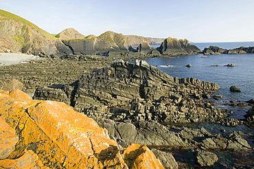 Hartland Quay on the Devon Coast, England, United Kingdom, Europe