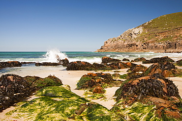 Portheras Cove near St. Just on the north Cornish coast, Cornwall, England, United Kingdom, Europe