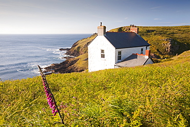 A cottage at St. Just on the sea cliffs overlooking Cape Cornwall, Cornwall, England, United Kingdom, Europe