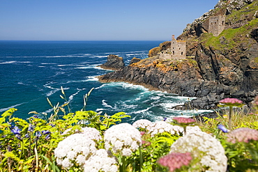 The famous Crown tin mine at Bottallack on the North Cornish coast, now abandoned but its old shafts extend way out below the sea, Cornwall, England, United Kingdom, Europe