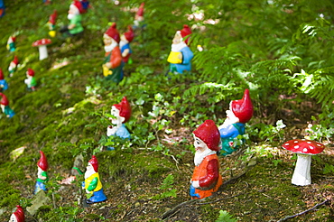 Gnomes at the West Putnam gnome reserve in Devon, England, United Kingdom, Europe