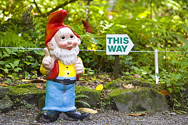 Gnome at the West Putnam gnome reserve in Devon, England, United Kingdom, Europe