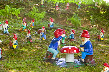 Gnomes at the West Putnam gnome reserve in Devon, England, United Kingdom, Europe