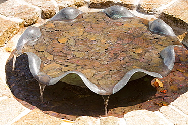 A water feature in the grounds of Penlee house in Penzance, Cornwall, England, United Kingdom, Europe