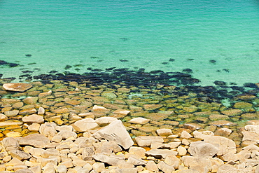 Cornish coastal scenery near Pendeen, Cornwall, England, United Kingdom, Europe