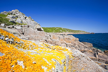 Cornish coastal scenery near Lamorna Cove, Cornwall, England, United Kingdom, Europe