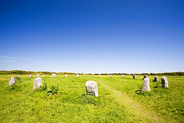 The Merry Maidens stone circle near Lamorna Cove in Cornwall, England, United Kingdom, Europe