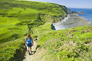 A woman on the South West Coast Path near Hartland Point, Devon, England, United Kingdom, Europe