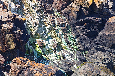 Sea cliffs stained green from copper deposits leaching from the old Geevor Tin Mine near St. Just in Cornwall, England, United Kingdom, Europe