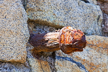 A rusting iron bolt at the old Geevor tine mine in Cornwall, England, United Kingdom, Europe