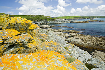 Prussia Cove in Cornwall, England, United Kingdom, Europe