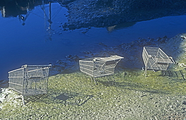 Supermarket trolleys thrown into Whitehaven harbour by vandals, Cumbria, England, United Kingdom, Europe