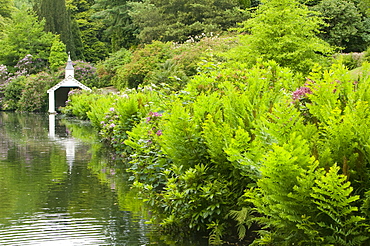 Trevarno Gardens in Cornwall, England, United Kingdom, Europe