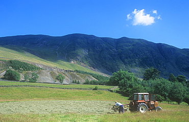 A farmer turning his hay for drying in the Lake District, Cumbria, England, United Kingdom, Europe