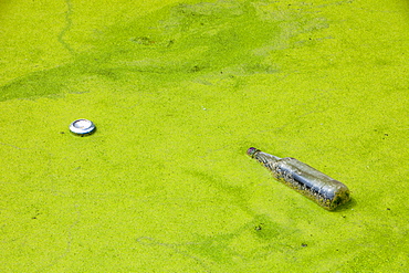 Rubbish thrown into a duckweed covered canal in Warrington, Lancashire, England, United Kingdom, Europe