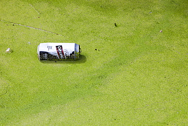 Rubbish thrown into a duckweed covered canal in Warrington, Lancashire, England, United Kingdom, Europe