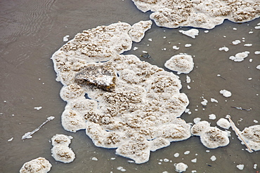 Polluted scum floating on the river Mersey near Warrington, England, United Kingdom, Europe