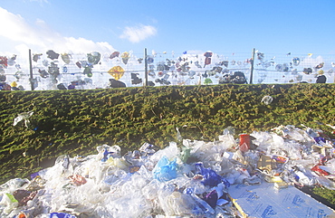 Plastic bags and packaging blown from a landfill site in Barrow in Furness, Cumbria, England, United Kingdom, Europe