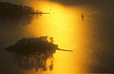 A sailing boat on Derwent Water at sunset in the Lake District National Park, Cumbria, England, United Kingdom, Europe