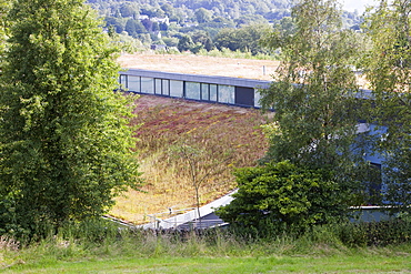 A green roof on Lakeland's flag ship store in Windermere, Cumbria, England, United Kingdom, Europe