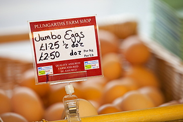 Free range eggs at Plumgarths farm shop in Kendal, Cumbria, England, United Kingdom, Europe