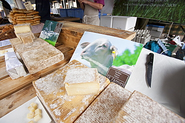 Ewes milk cheese made on Holker Farm Dairy in South Cumbria, for sale on a farmers market in Kendal, Cumbria, England, United Kingdom, Europe