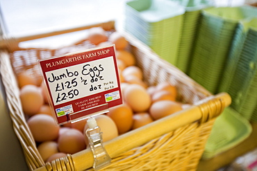 Free range eggs at Plumgarths farm shop in Kendal, Cumbria, England, United Kingdom, Europe