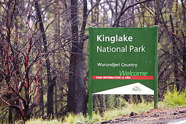 Burnt forest near Kinglake, one of the worst affected communities of the catastrophic 2009 Australian Bush Fires in the state of Victoria, Australia, Pacific